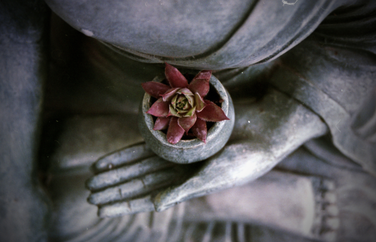 Meditation